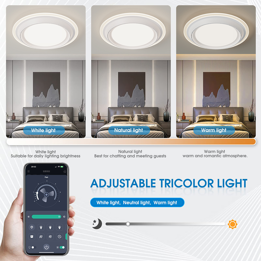LED Ceiling Fan Lamp Home Ligh - Decor Lighting Fans avis et prix