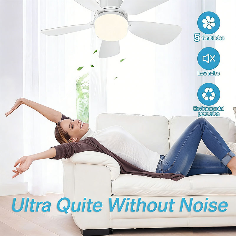 E27 Screw Ceiling Fan Light wi - Decor Lighting Ceiling Fans avis et prix